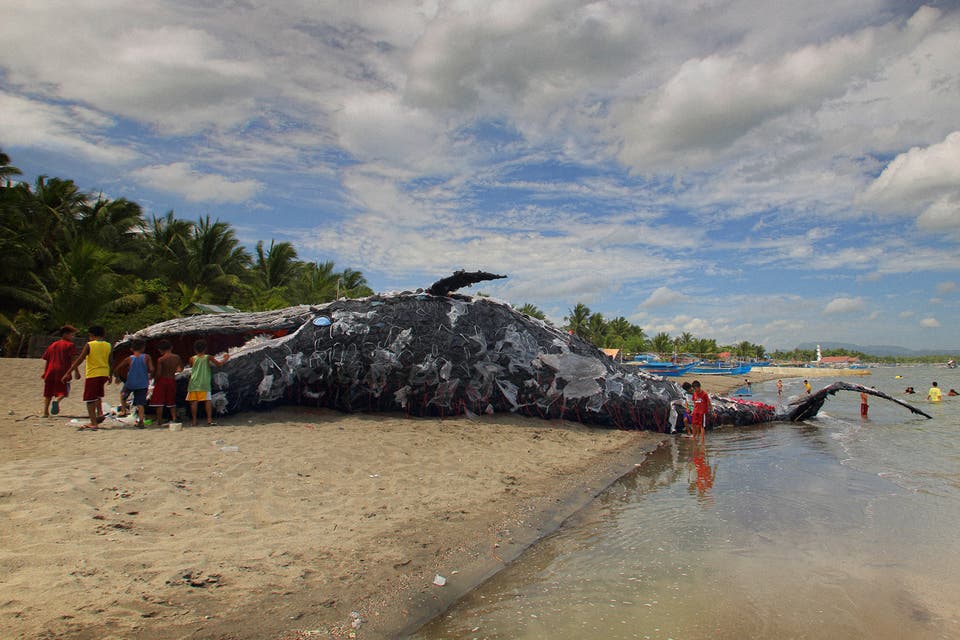 dentsumcgarrybowen: Dead Whale